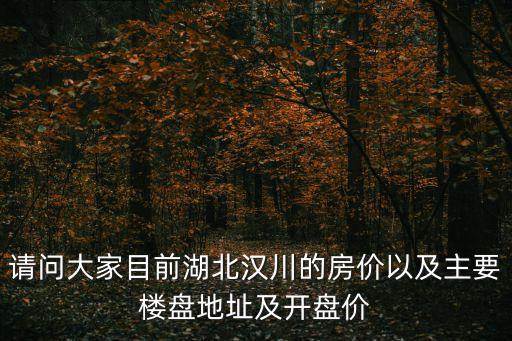 請問大家目前湖北漢川的房價以及主要樓盤地址及開盤價