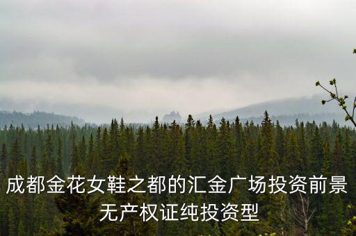 成都金花女鞋之都的匯金廣場(chǎng)投資前景 無(wú)產(chǎn)權(quán)證純投資型