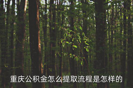 重慶公積金怎么提取流程是怎樣的