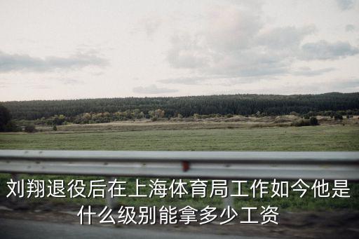 劉翔退役后在上海體育局工作如今他是什么級別能拿多少工資