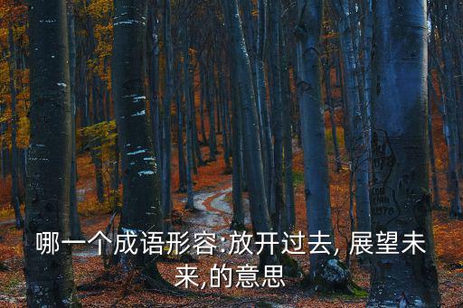 哪一個成語形容:放開過去, 展望未來,的意思