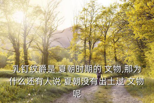 乳釘紋爵是 夏朝時期的 文物,那為什么還有人說 夏朝沒有出土過 文物呢