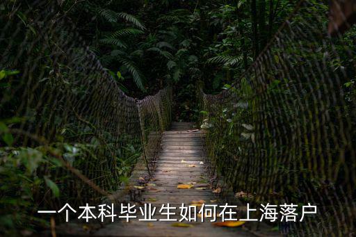 上海本科大學生落戶政策，現在上海每年給多少應屆畢業外地大學生上海戶口啊