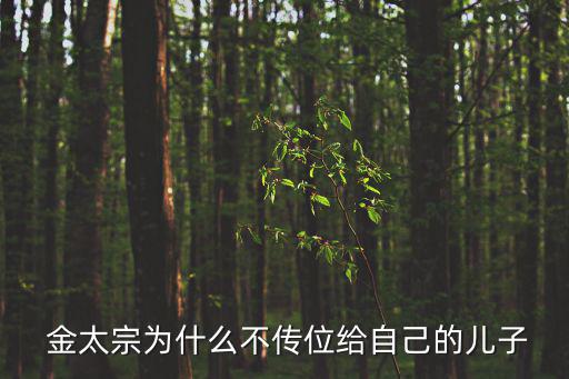 金太宗,火神趙阿古達的兒子被炸死