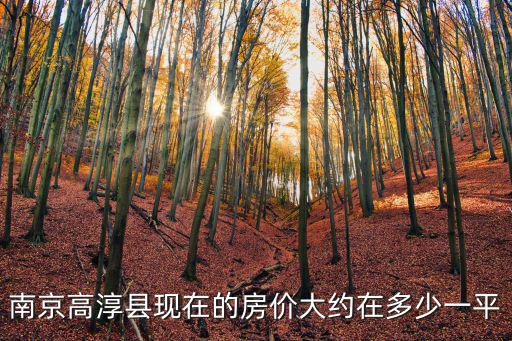 南京高淳縣現在的房價大約在多少一平