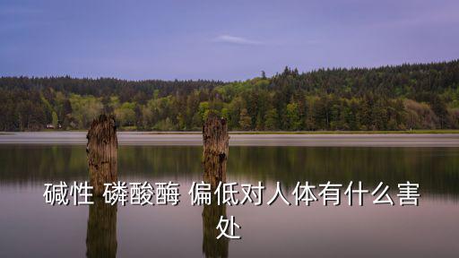  堿性 磷酸酶 偏低對人體有什么害處