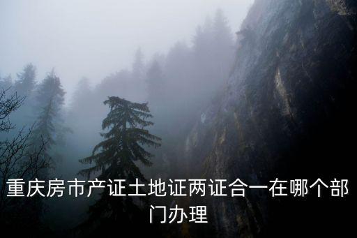 重慶房市產(chǎn)證土地證兩證合一在哪個(gè)部門辦理