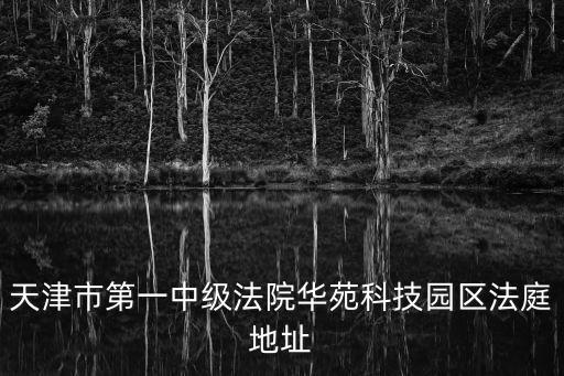 天津市第一中級法院華苑科技園區(qū)法庭地址
