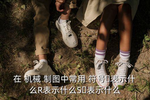 在 機械 制圖中常用 符號?表示什么R表示什么S?表示什么