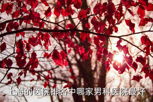 上海的醫院排名中哪家男科醫院最好