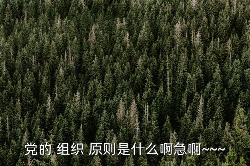 黨的 組織 原則是什么啊急啊~~~