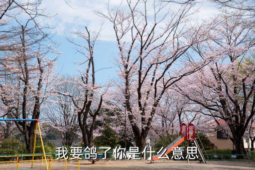 鴿是什么意思,被鴿子纏身就意味著被打敗