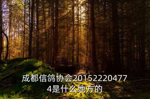 成都市信鴿會大邑縣董場，想在大邑買幾羽信鴿養(yǎng)但是找不到鴿市在哪里大概幾點開始謝謝