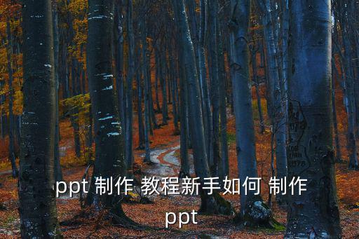 ppt制作入門教程,第二集:如何制作幻燈片?