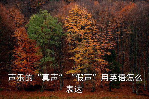  聲樂的“真聲”“假聲”用英語怎么表達