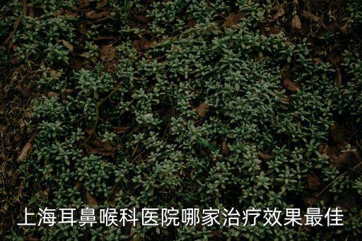 上海耳鼻喉科醫院哪家治療效果最佳