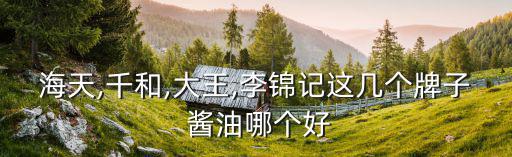 海天,千和,大王,李錦記這幾個牌子 醬油哪個好