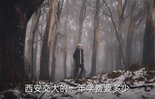 西安交大的一年學(xué)費(fèi)要多少
