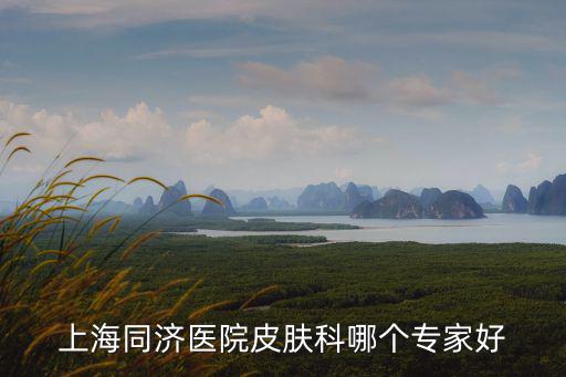 上海市皮膚病醫(yī)同濟(jì)大學(xué)，上海同濟(jì)醫(yī)院皮膚科哪個(gè)專(zhuān)家好