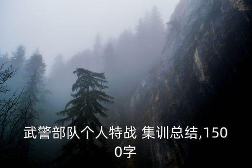 集訓總結,通過這次集訓我對專業有更深刻認識
