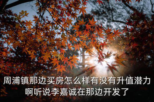 周浦鎮(zhèn)那邊買房怎么樣有沒有升值潛力啊聽說李嘉誠在那邊開發(fā)了