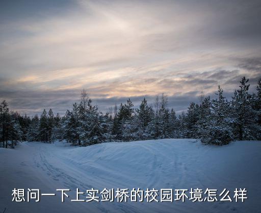 想問一下上實劍橋的校園環境怎么樣