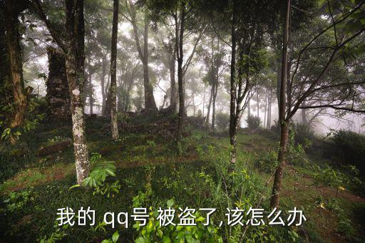 我的 qq號 被盜了,該怎么辦