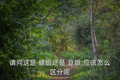 請問這是 蜻蜓還是 豆娘,應該怎么區分呢