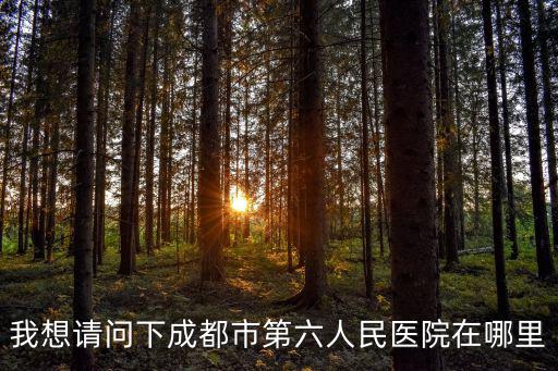 我想請問下成都市第六人民醫院在哪里