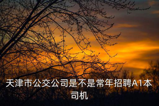 天津市公交公司是不是常年招聘A1本司機