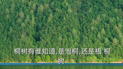 桐樹,懸鈴木也叫梧桐樹分三種類型