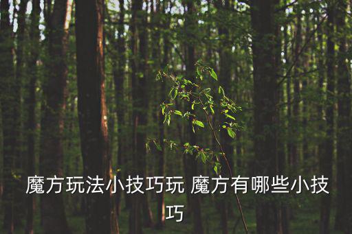 魔方的技巧,這些魔方的用法有何不同?