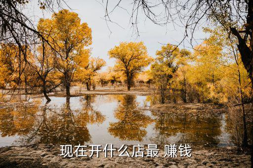 現在開什么店最 賺錢