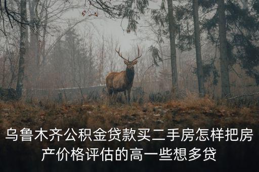 烏魯木齊公積金貸款買二手房怎樣把房產價格評估的高一些想多貸