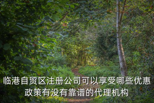 臨港自貿(mào)區(qū)注冊公司可以享受哪些優(yōu)惠政策有沒有靠譜的代理機構(gòu)