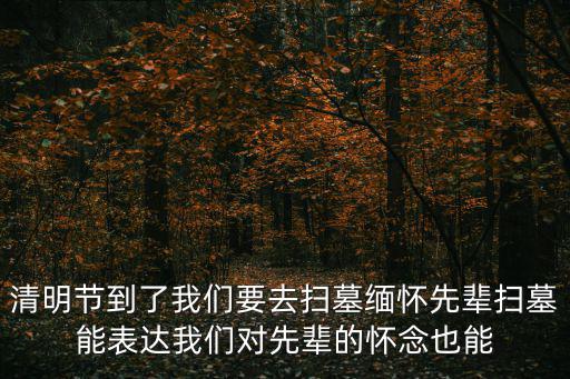 清明節(jié)到了我們要去掃墓緬懷先輩掃墓能表達(dá)我們對(duì)先輩的懷念也能