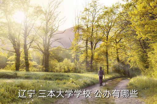 遼寧 三本大學(xué)學(xué)校 公辦有哪些