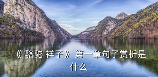 《 駱駝 祥子》 第一章句子賞析是什么