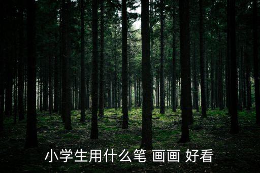 小學(xué)生用什么筆 畫畫 好看