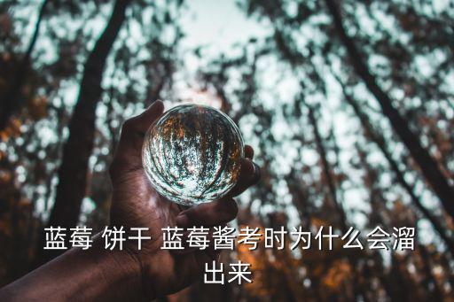  藍莓 餅干 藍莓醬考時為什么會溜出來