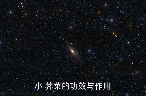小 薺菜的功效與作用