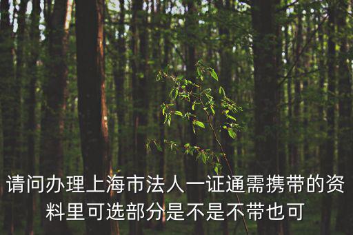 法人一證通長什么樣，請問辦理上海市法人一證通需攜帶的資料里可選部分是不是不帶也可