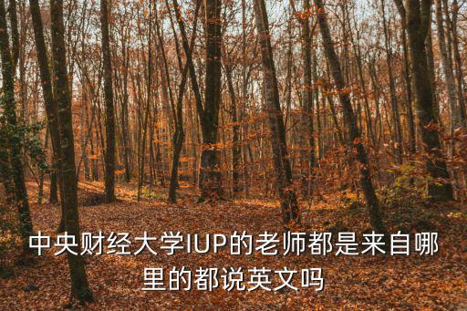 孫志猛中央財經(jīng)大學，中央財經(jīng)大學IUP的老師都是來自哪里的都說英文嗎