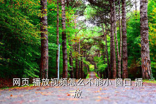 網(wǎng)頁 播放視頻怎么不能小 窗口 播放