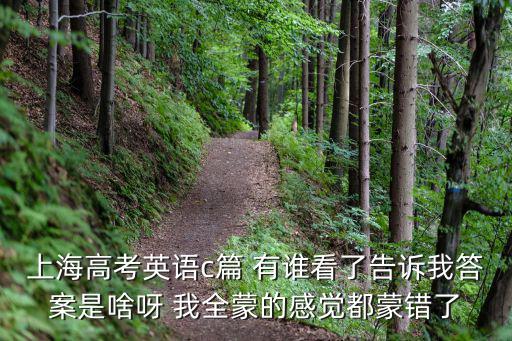 上海高考英語c篇 有誰看了告訴我答案是啥呀 我全蒙的感覺都蒙錯了