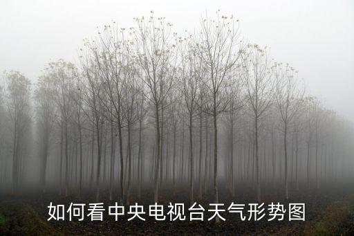 如何看中央電視臺天氣形勢圖