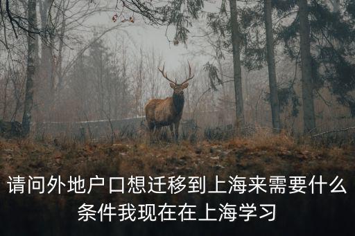 落戶上海條件2022，外地人申請上海戶口要什么條件啊