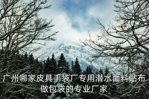 廣州哪家皮具手袋廠專用潛水面料貼布做包袋的專業廠家