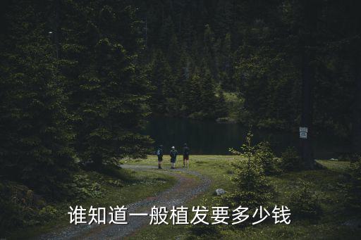 植發要多少錢一般，誰知道一般植發要多少錢