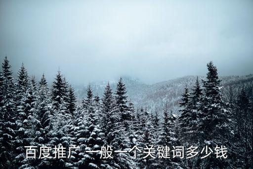 百度推廣 一般一個關鍵詞多少錢